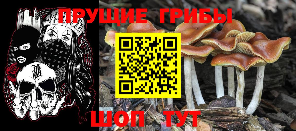 Галлюциногенные грибы GOLDEN TEACHER Гагарин