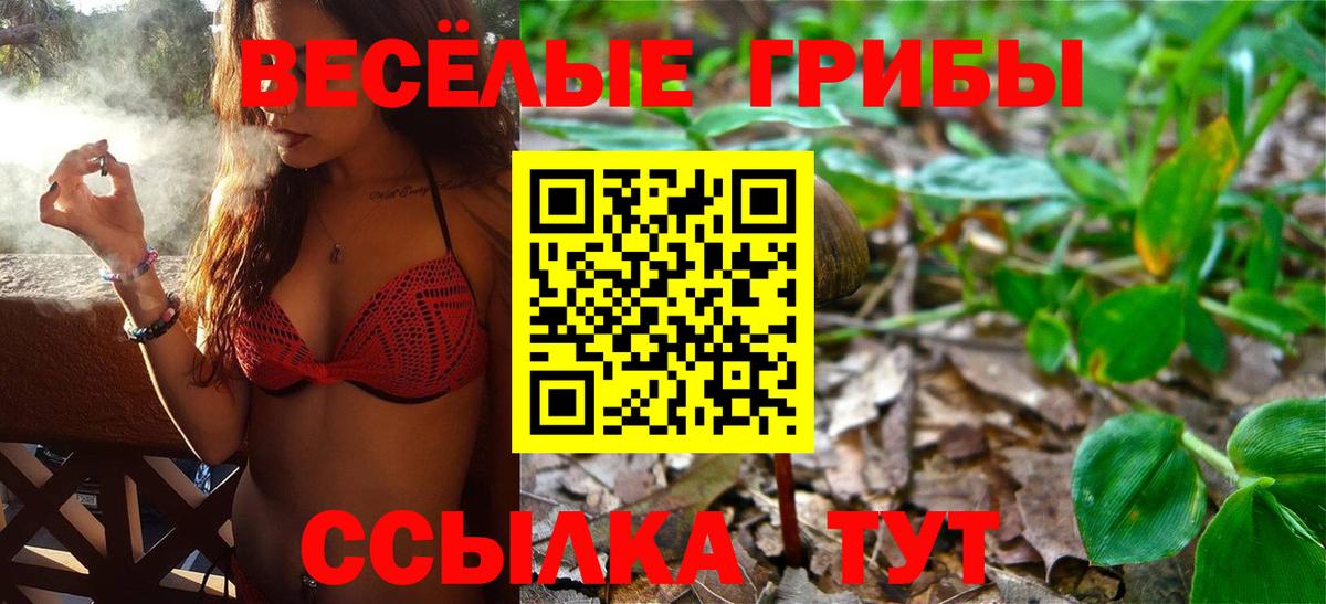 Псилоцибиновые грибы ЛСД  Вход с VPN  Гагарин 